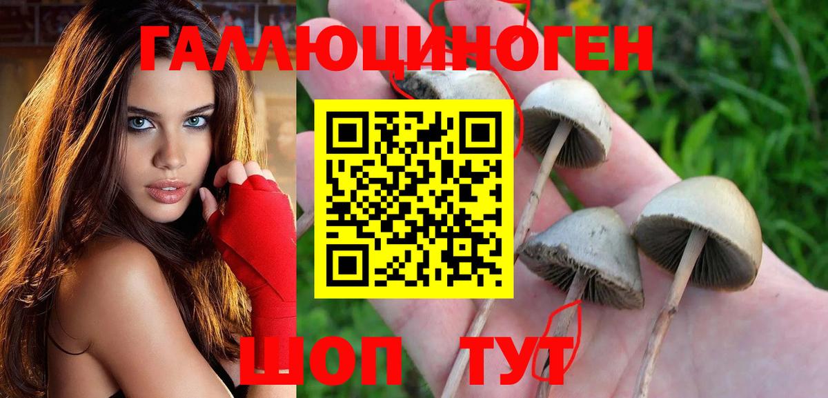 Псилоцибиновые грибы ЛСД  Галлюциногенные грибы мицелий  Петрозаводск  Вход с VPN 